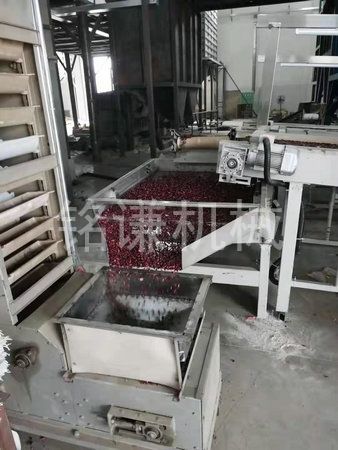 杂粮脱皮制粉设备