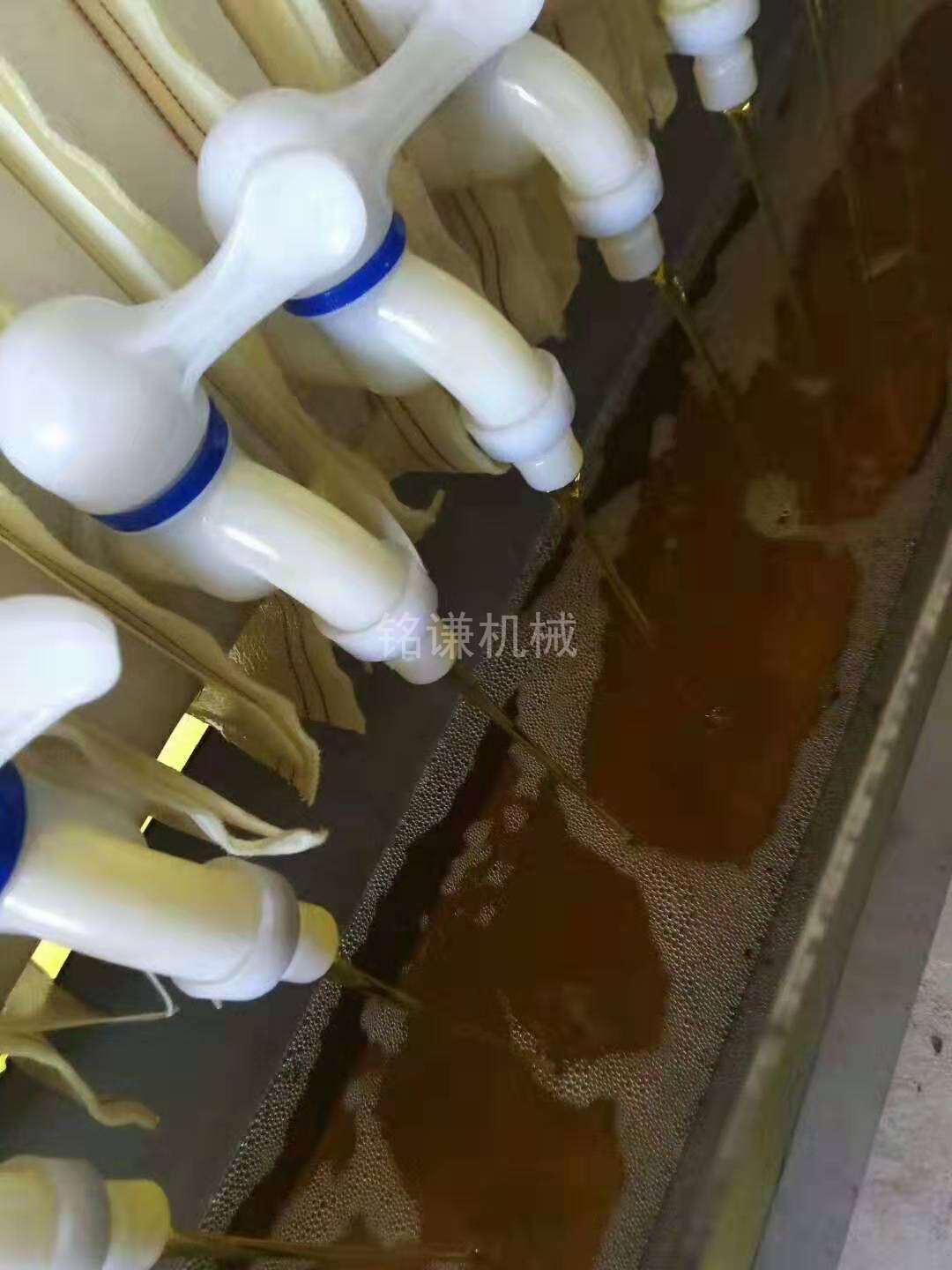 茶籽油脱脂